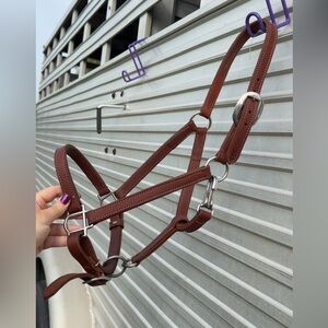Dreamfield Farm and Tack Leather Halter Pony/Yearling